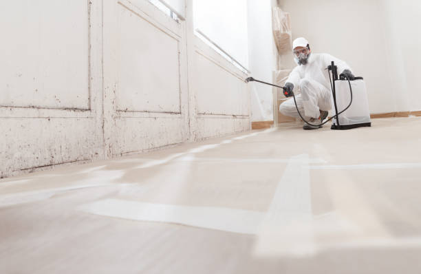 24/7 Emergency Mold Remediation experts in Osseo, MN