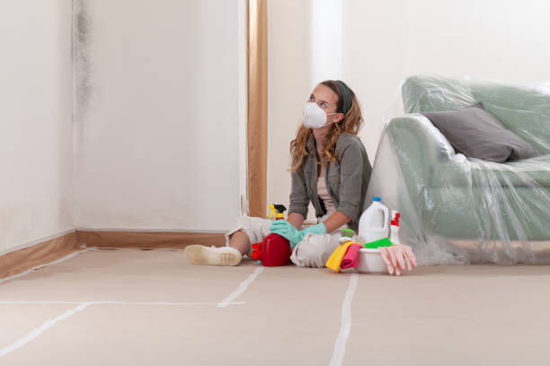 Reliable Mold Remediation contractor in Osseo, MN by 24 Hour Mold Removal